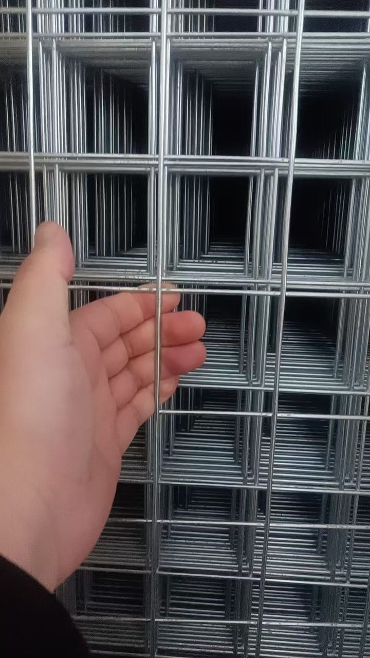 镀锌网片